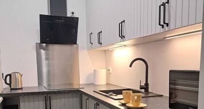 Newly renovated 1 bedroom, nice and bright apartment with fast WIFI and parking