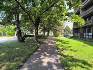 Un chemin pavé, bordé d’arbres et d’herbe, mène à un bâtiment à la façade en briques.