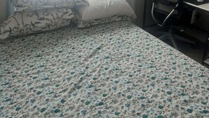 A bedroom with a bed, a desk, and a chair.