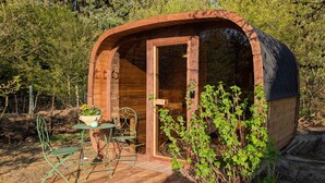 A wooden cabin with a door, a small table with chairs, and a potted plant outside.