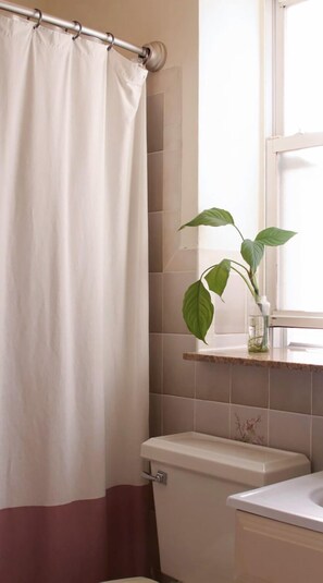 Secadora de cabello, toallas, jabón, papel de baño 