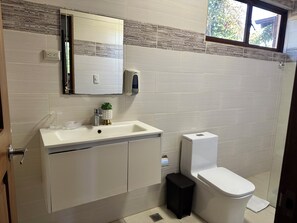 Chuveiro, secador de cabelo, toalhas de banho, papel higiênico