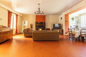 TV, fireplace, books