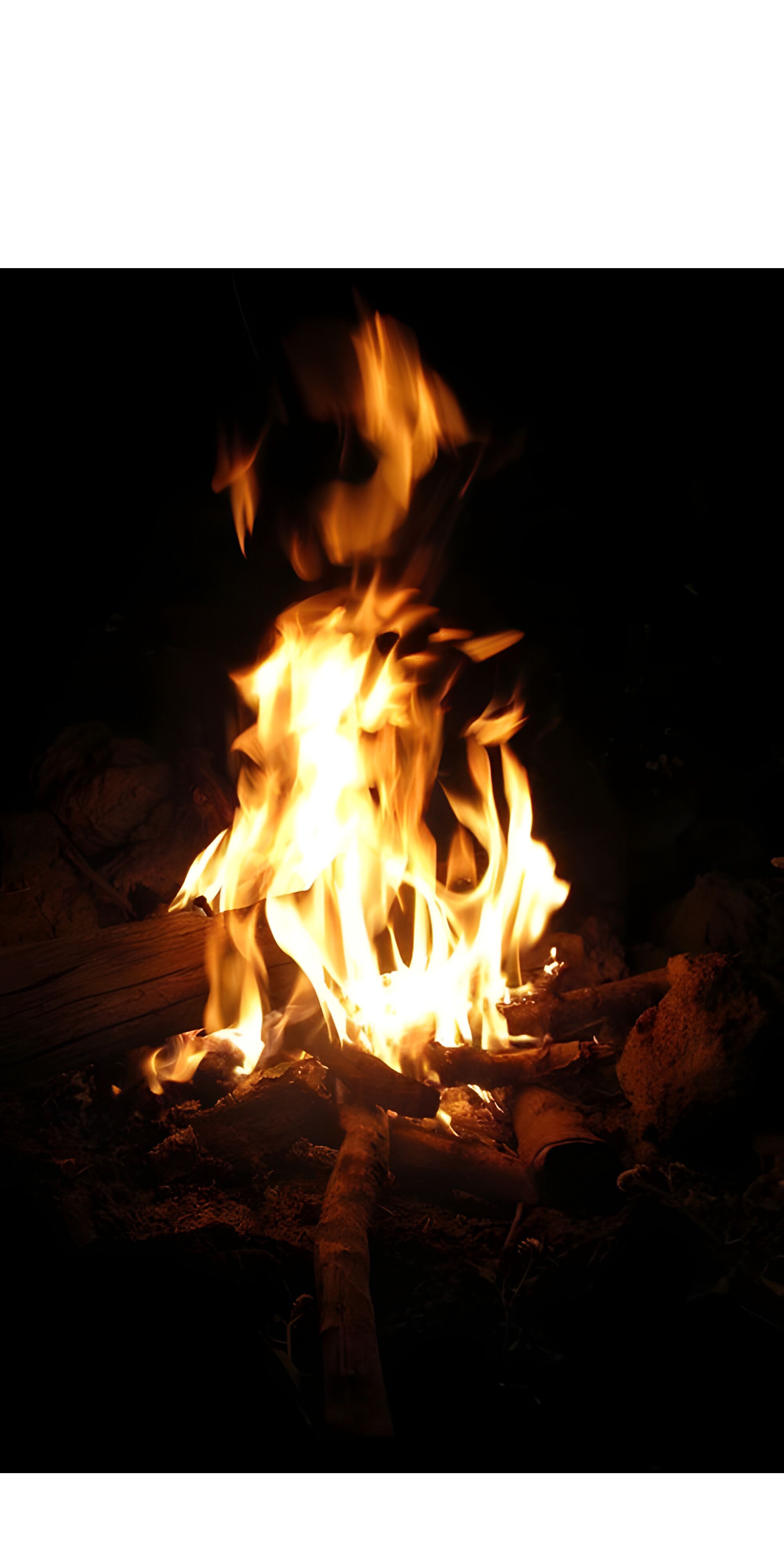 A campfire with flames and logs.