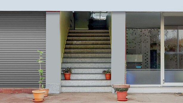 A staircase leading to a building entrance, with potted plants on either side.