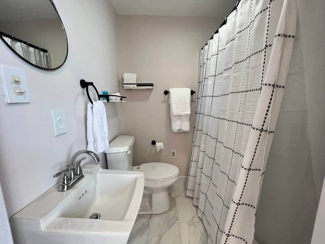 Une salle de bain avec un lavabo, des toilettes et un rideau de douche.