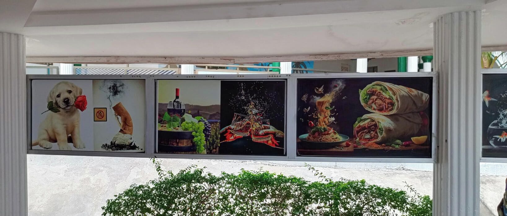 Una serie de obras de arte enmarcadas en una pared.