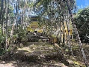 Una escalera de piedra conduce a un edificio amarillo rodeado de vegetación tropical exuberante.