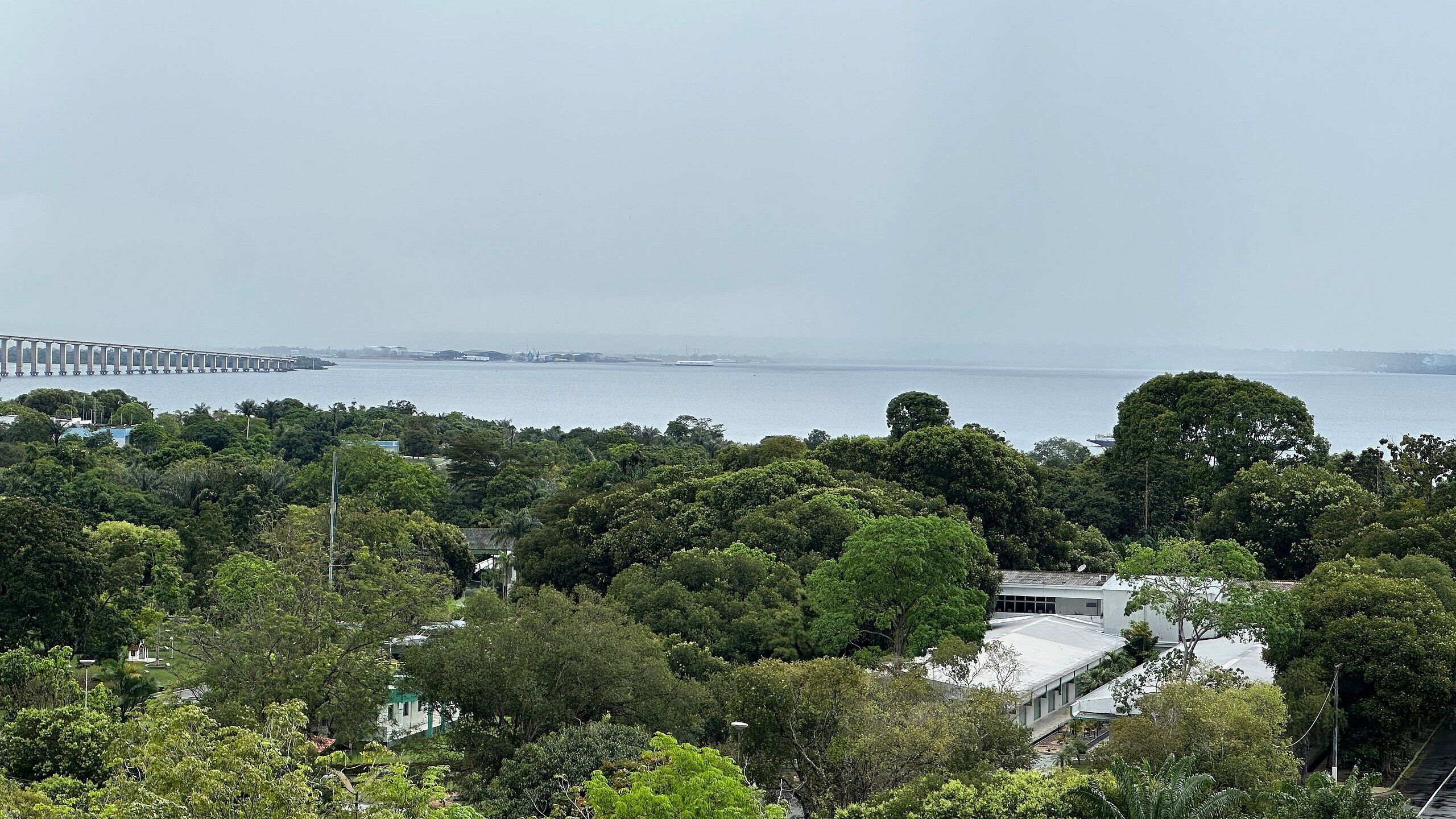 A coastal view with dense greenery, a bridge, and a body of water.