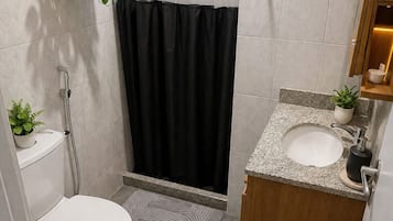 Shower, hair dryer, bidet, towels