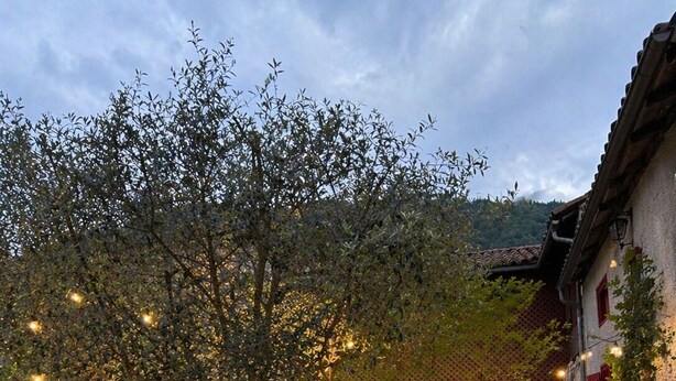 A garden with a tree, a car, and a building with a red roof. - La Petite Maison - Spa - Games room - Air conditioning - Garden (Arguenos)