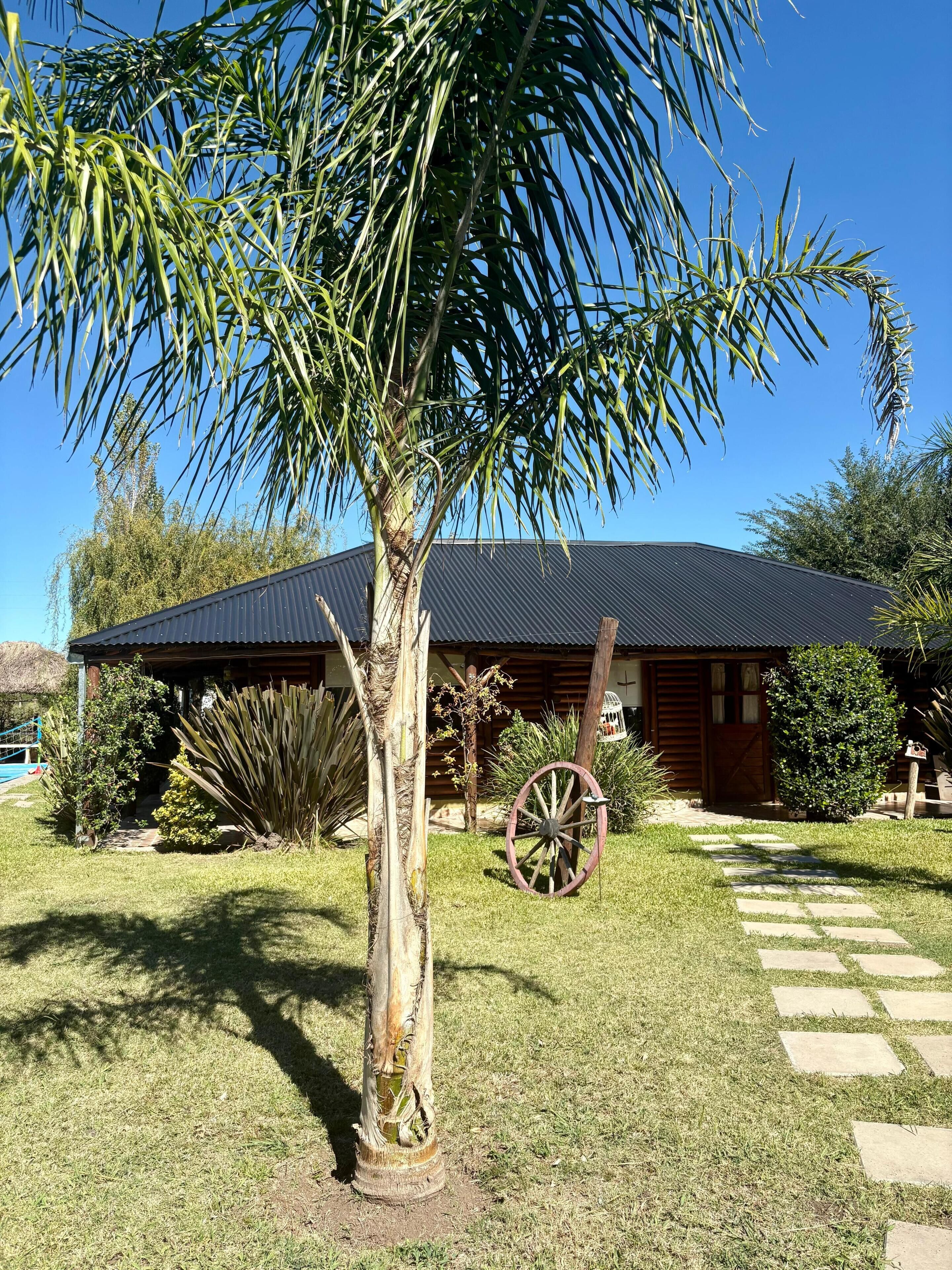 Áreas de la propiedad