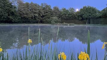 Terrain de l’hébergement