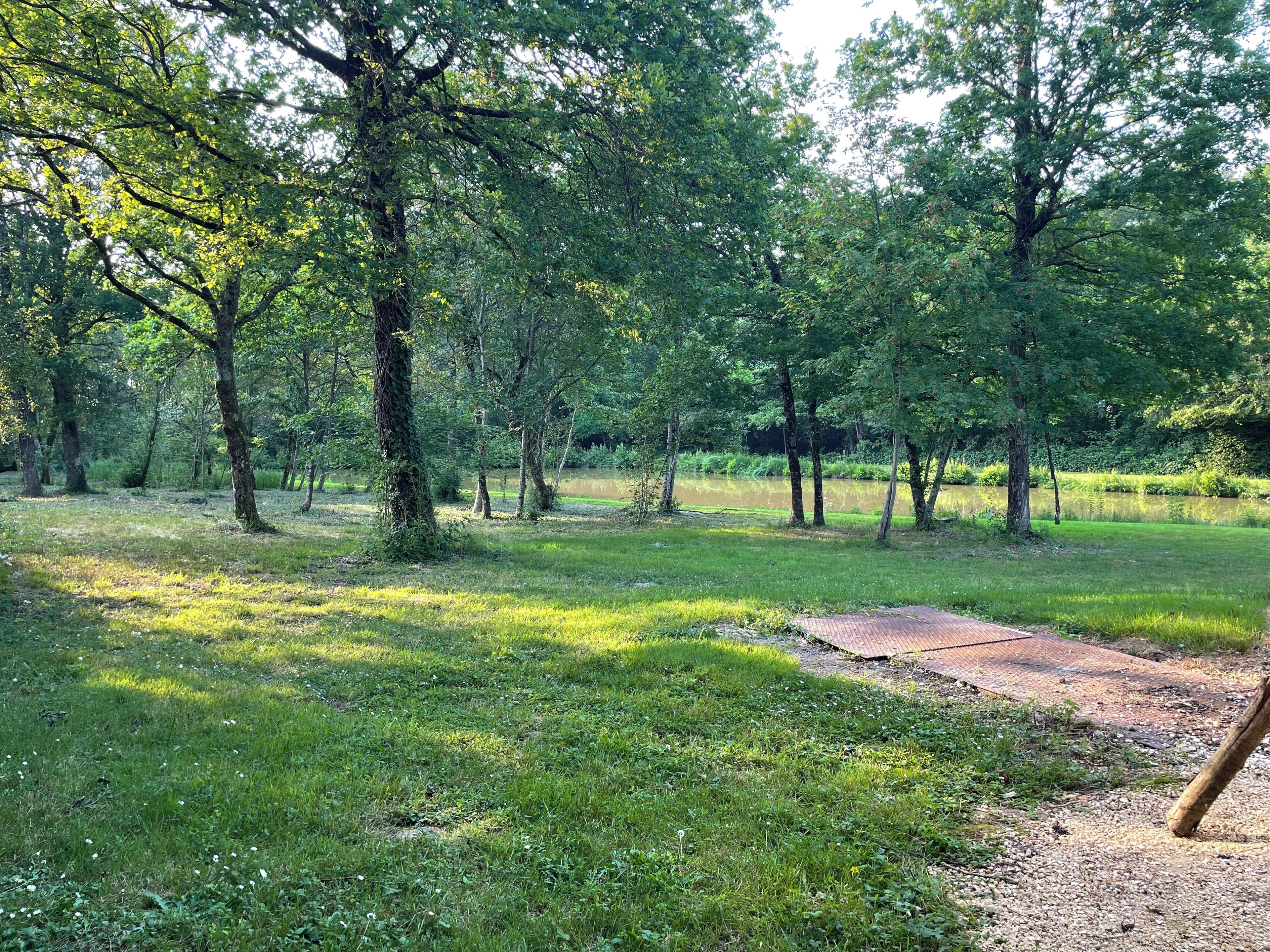 Un parc naturel avec des arbres, de l’herbe et un étang.