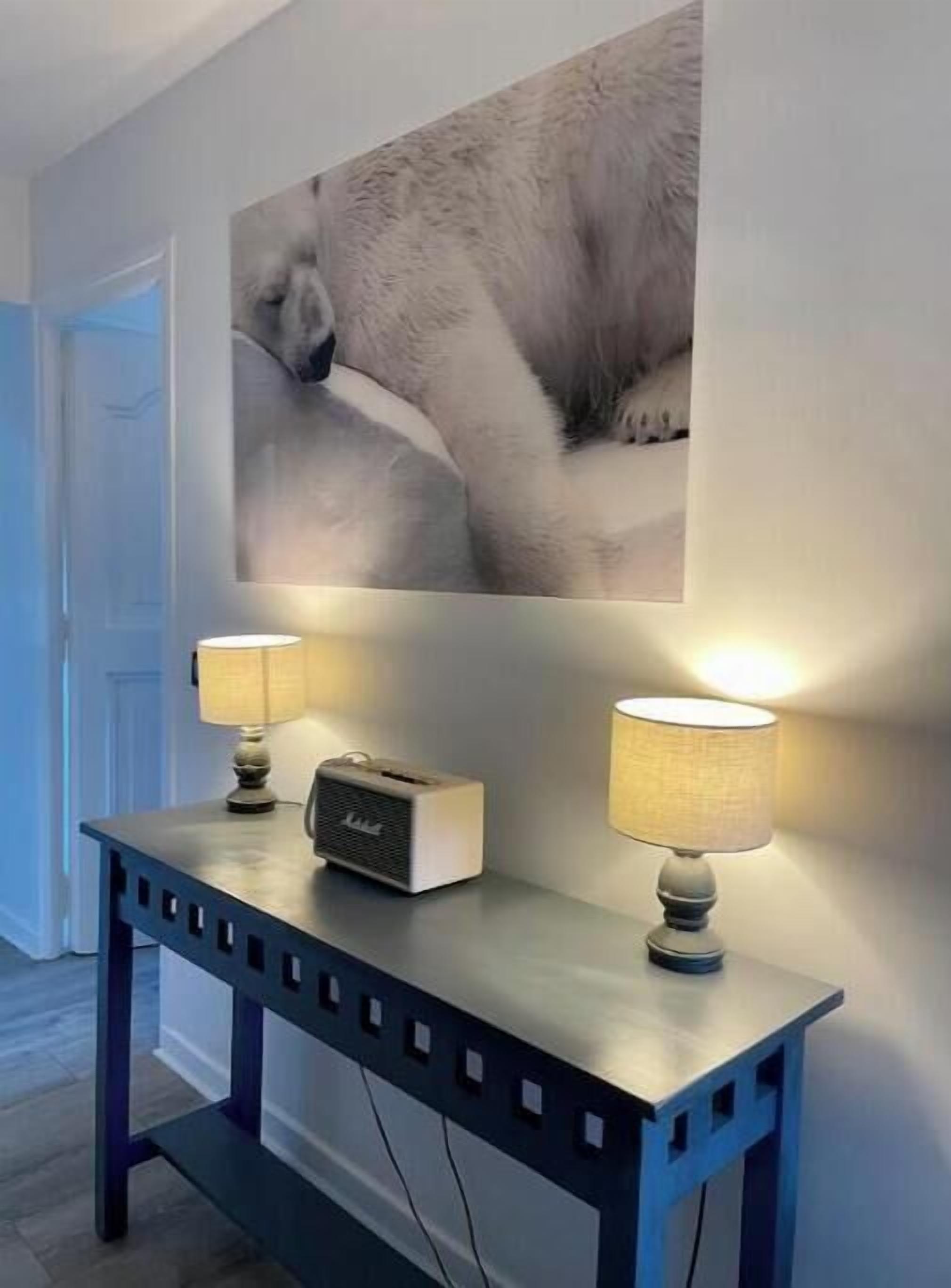 Un couloir avec un tableau représentant un chien accroché au mur, une table avec deux lampes et une radio.