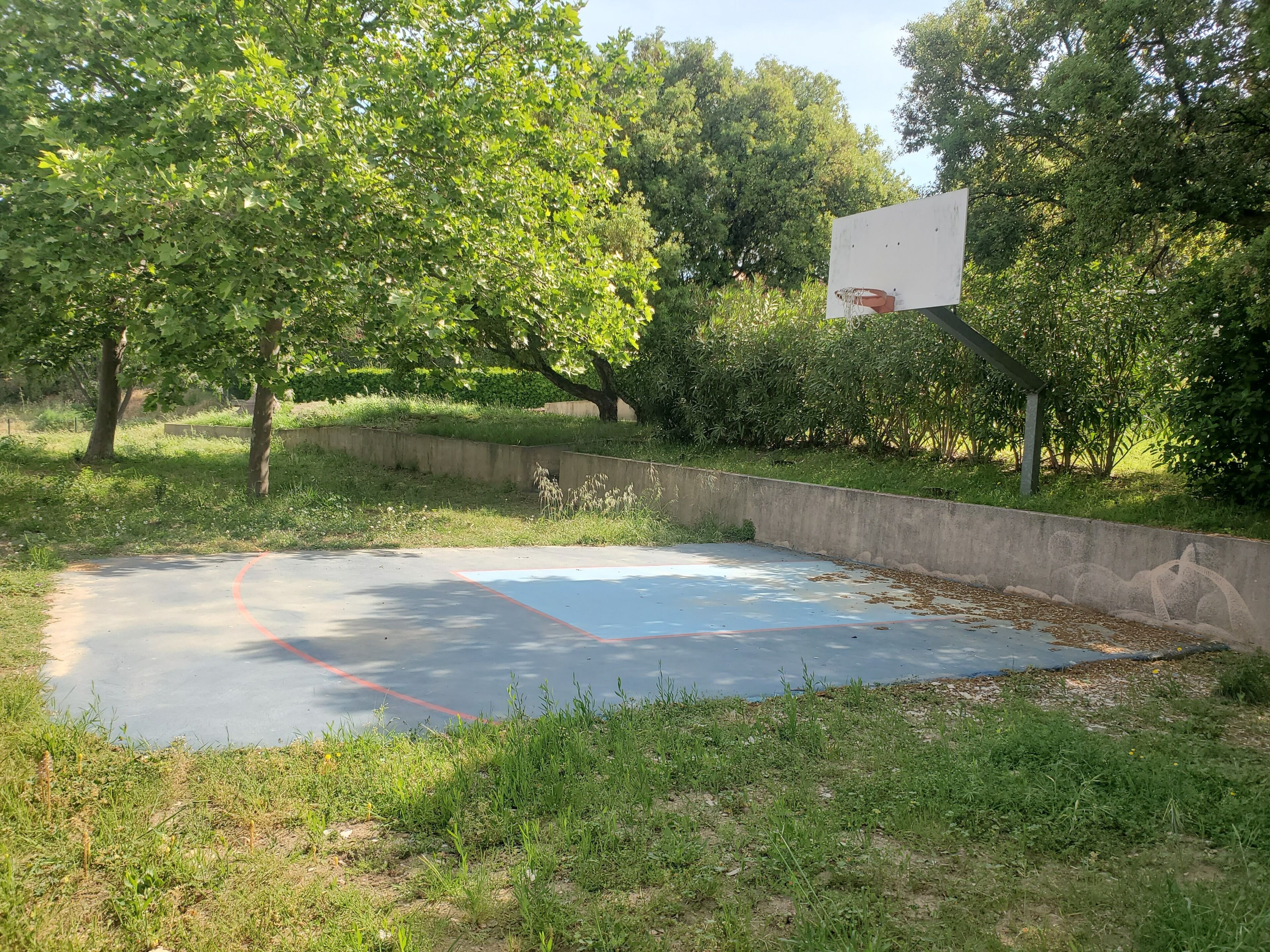 Una cancha de baloncesto al aire libre rodeada de árboles y césped.