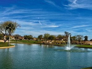 Golf - Sunny cute first floor North Scottsdale 2-bedroom condo with AC , pool & parking (Scottsdale)