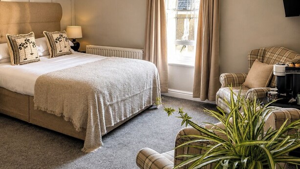 A bedroom with a large bed, a sofa, a coffee table, a potted plant, and a television on the wall. - Raven Suite - Interconnected Room (Shropshire)