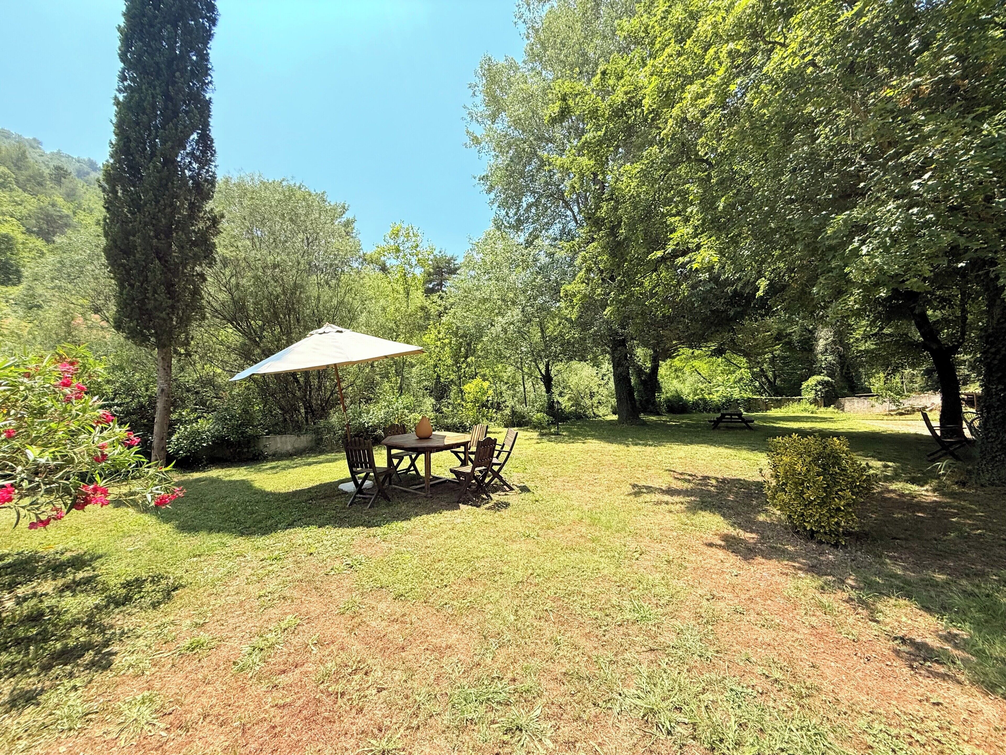 Un espacio al aire libre con césped, una mesa y sillas, rodeado de árboles y una mesa de picnic.