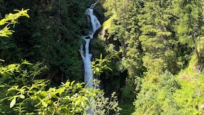 A suspension bridge over a forested area with a waterfall.