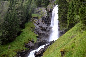 Ein Wasserfall, umgeben von dichtem Wald.