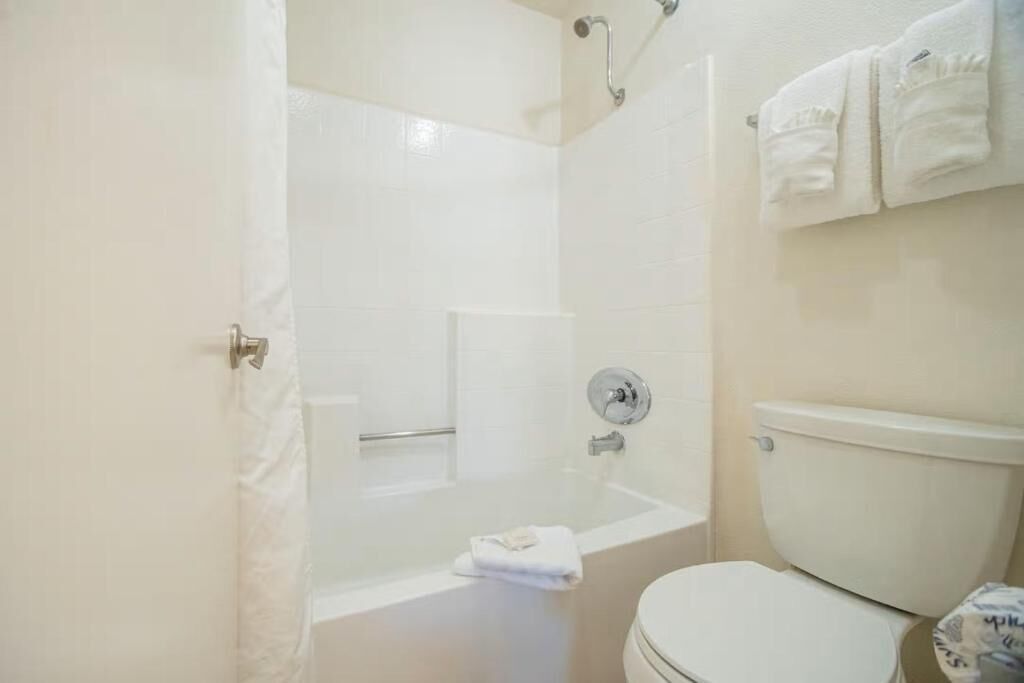 Sèche-cheveux, serviettes fournies, savon, papier toilette