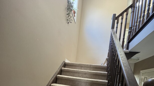 A carpeted staircase with wooden railings and a window with a plant.