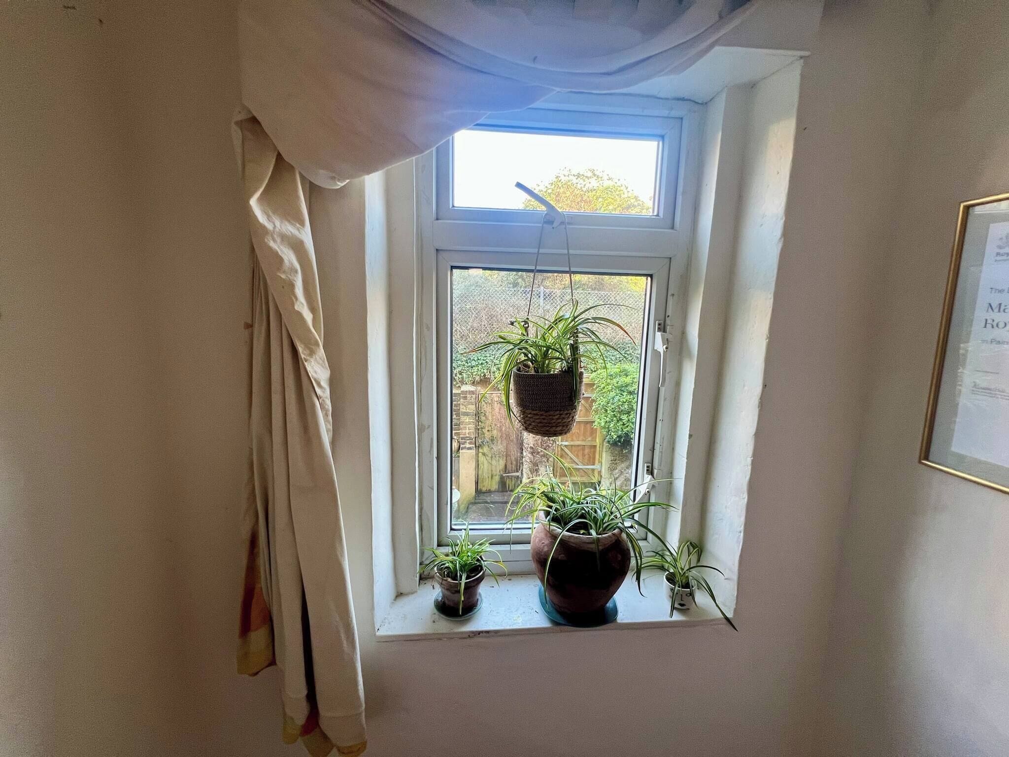 Shared Dormitory, 1 Bedroom, Patio | Interior
