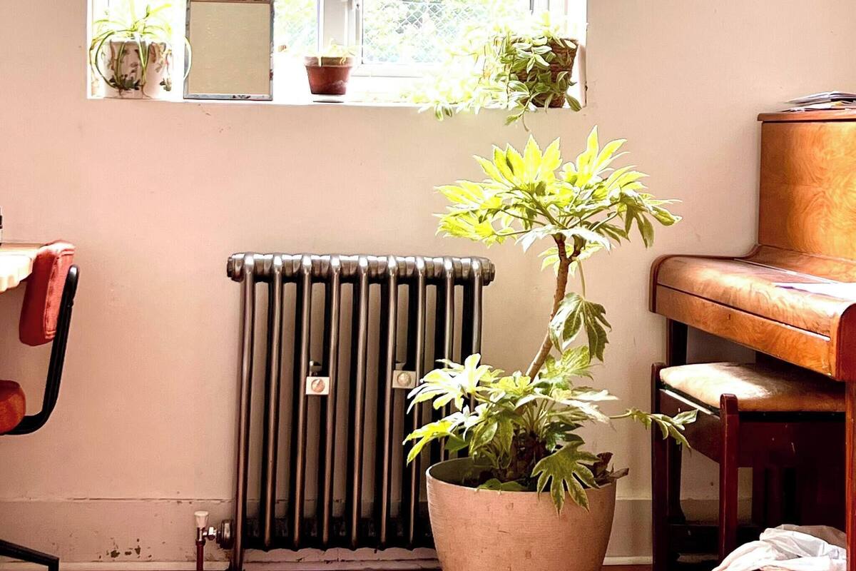 Shared Dormitory, 1 Bedroom, Patio