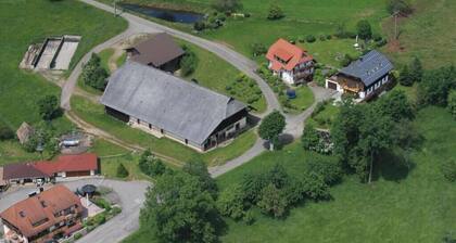 Ferien auf dem Steingrubenhof