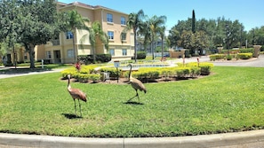 Property grounds
