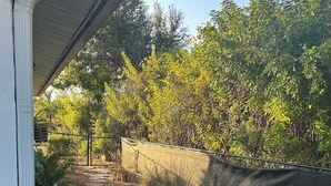 Un jardín con un camino de piedra, plantas en macetas y una valla de malla negra.