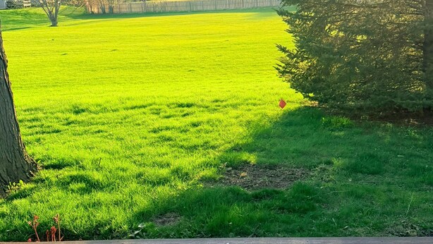 Un campo cubierto de césped con una terraza de madera al frente.
