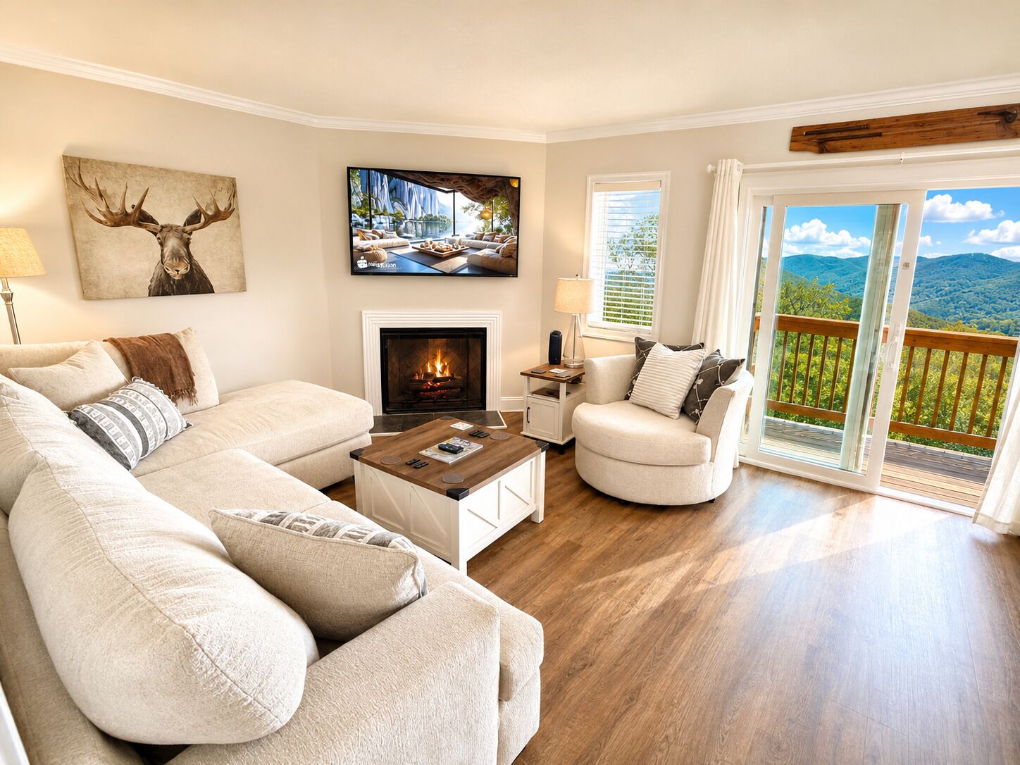TV, fireplace