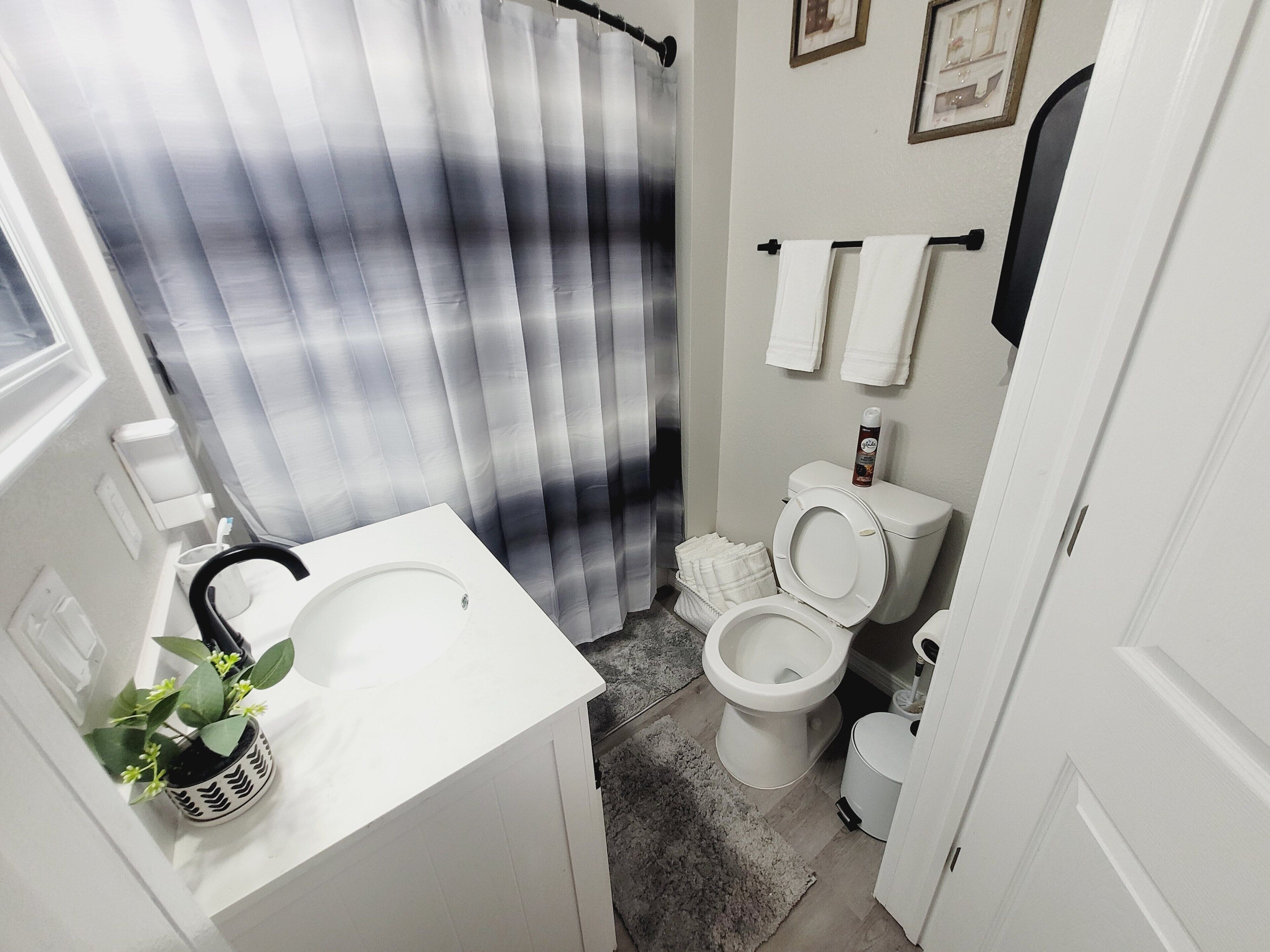 Une salle de bain avec un lavabo blanc, des toilettes, un rideau de douche et une petite plante.