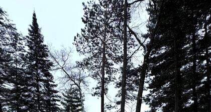 Lake Minocqua Island Home - Walk to Town - Sleep 6