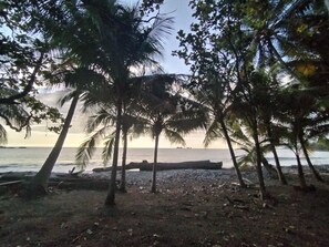 Playa