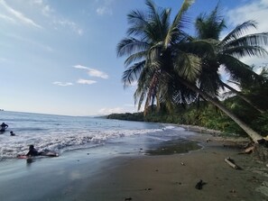 Ein Strand mit Palmen, Wellen im Meer und blauem Himmel.