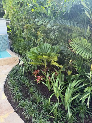 A landscaped garden with a variety of plants and a swimming pool. - Marvelous Newly Renovated 2-bedroom Dog Friendly home close to Duval & Beach (Key West)