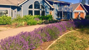 Unclassified image, 3 of 125, button - ElkLandia Home & Suite - Sleeps up to 18+ (Sequim)