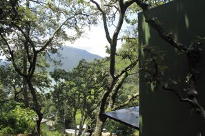 A forested area with a mountain in the background and a building with a sloped roof. - Beautiful Loft – Forest – Lake View – Jacuzzi (san gaspar)
