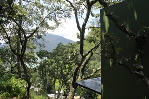 Property grounds - Loft in the woods with lake view (san gaspar)