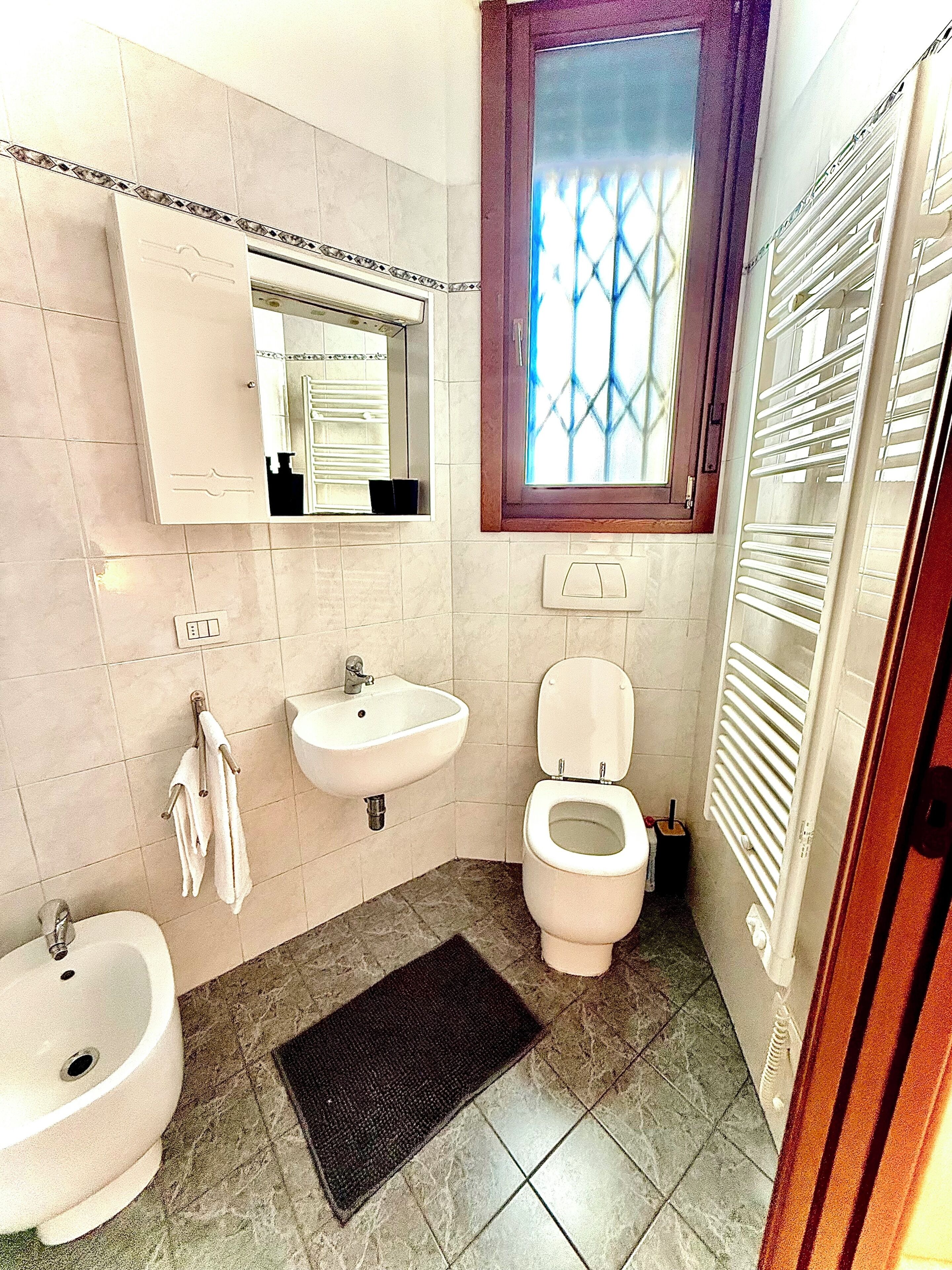 Shower, hair dryer, bidet, towels
