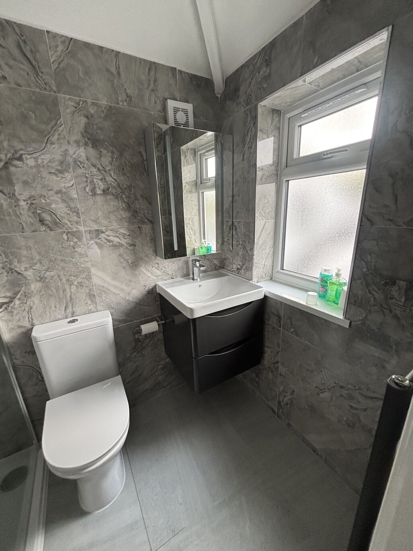Hair dryer, towels, soap, toilet paper