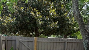 A paved pathway leading to a wooden fence, surrounded by greenery and a birdbath. - Private Tiny Home w/ Courtyard, Grill & Quiet Location – Sleeps 2 (Pensacola)