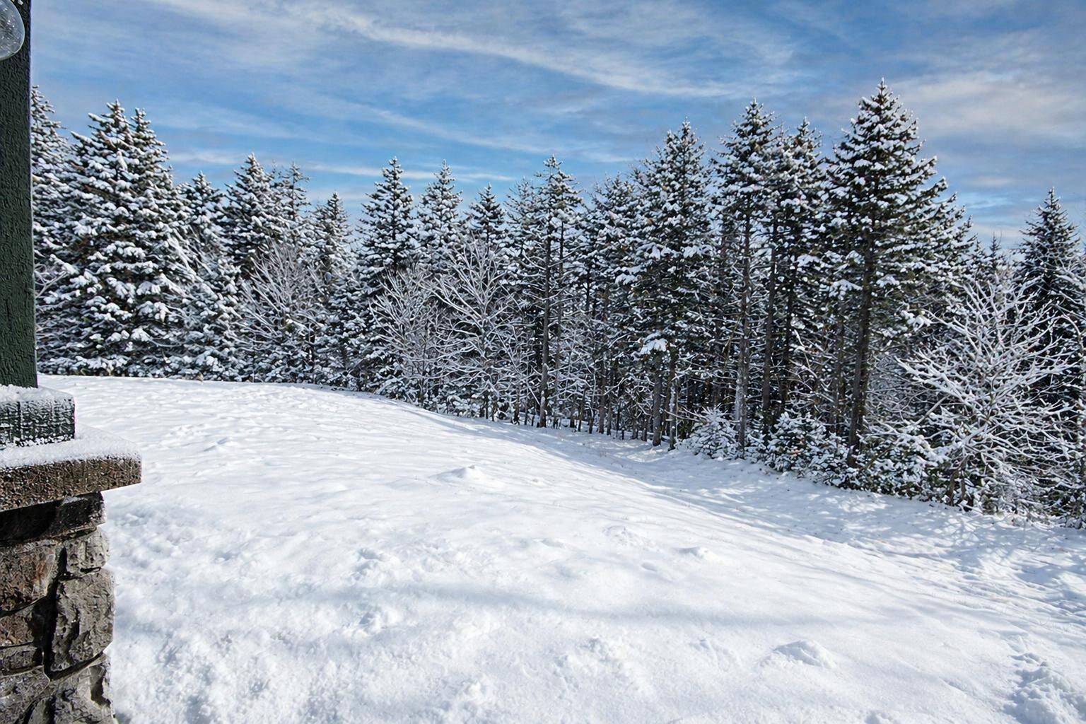 Eine verschneite Landschaft mit einer Steinmauer und immergrünen Bäumen.