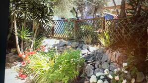 A garden with a stone wall, various plants, and a wooden fence. - Air-conditioned villa with pool and jacuzzi, toulon ouest (Toulon)