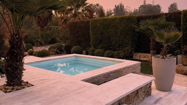En rektangulær swimmingpool med en stenkant, omgivet af en anlagt have med forskellige planter og en hæk i baggrunden.