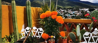 Casa Donaji Guest House