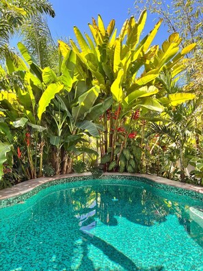 Pool - Casa Aliona Ocean-View Boutique Villa w/ Pool & Terrace (Puerto Vallarta)
